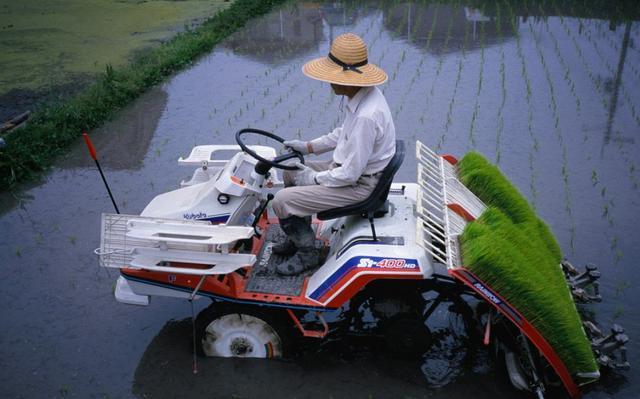 农民“被”学怕了，中国农业为何不走自己的路？